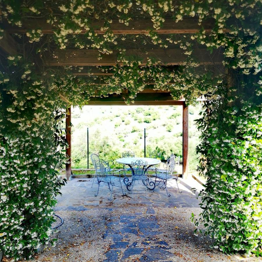 Fattoria Tolomei Campagnatico Buitenkant foto