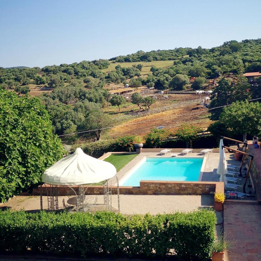 Fattoria Tolomei Campagnatico Buitenkant foto
