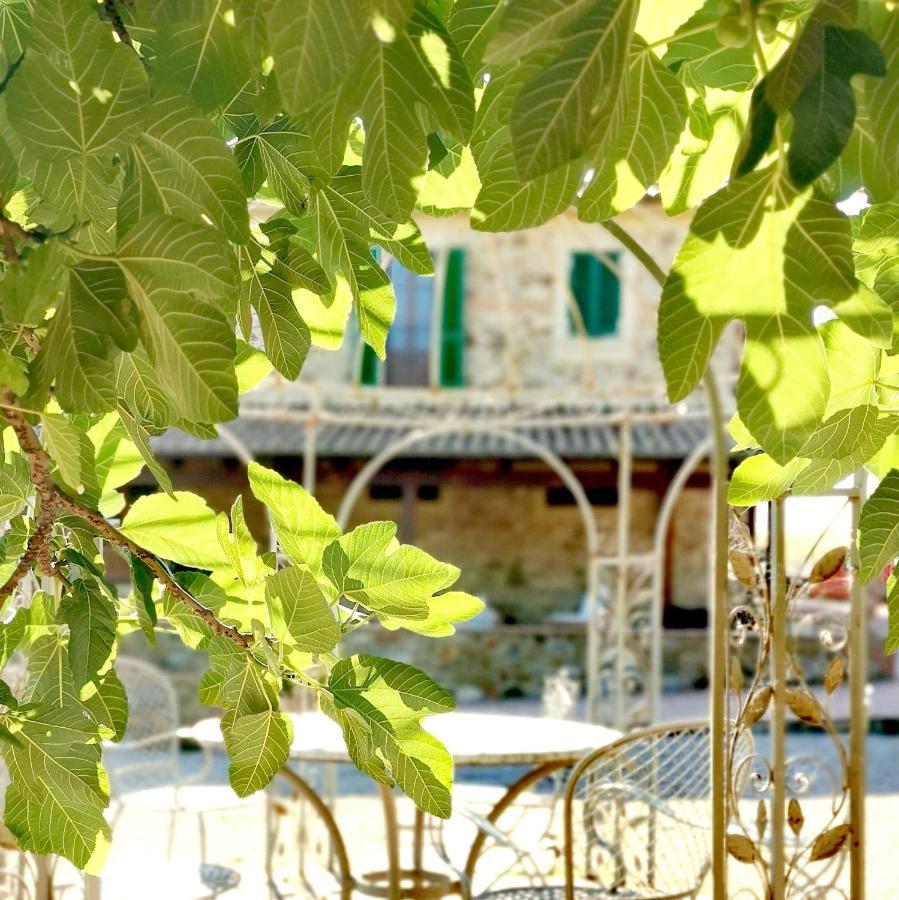 Fattoria Tolomei Campagnatico Buitenkant foto