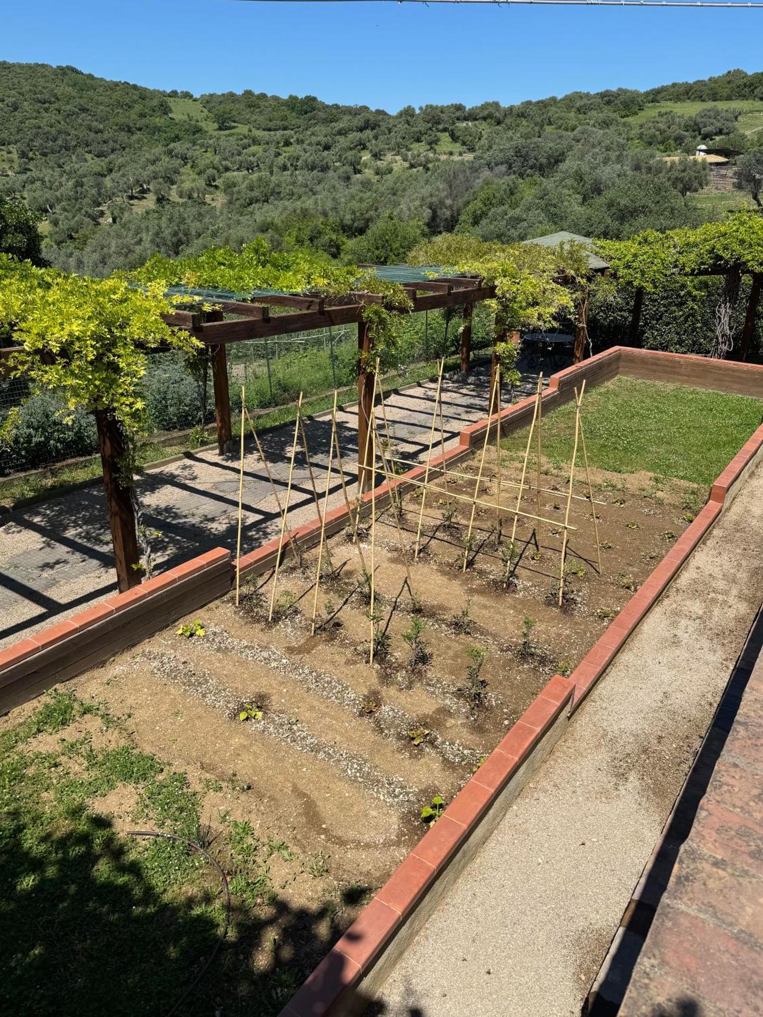 Fattoria Tolomei Campagnatico Buitenkant foto